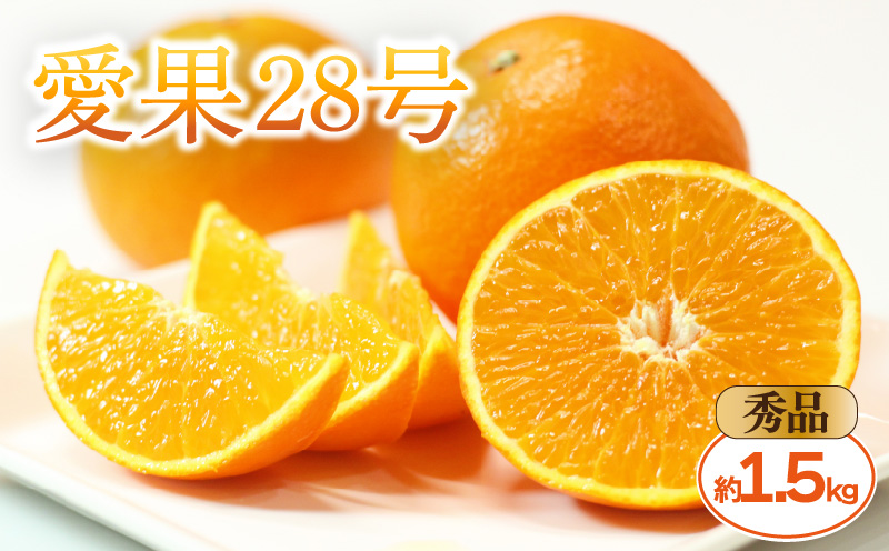 【2026年11月中旬頃から発送予定】愛果28号 (紅まどんな と同品種) 秀品 約1.5kg 贈答用 化粧箱入り  |  愛媛産 愛媛県産 国産 愛媛みかん 愛媛蜜柑 愛媛ミカン みかん ミカン mikan 蜜柑 柑橘 フルーツ 果物 くだもの お取り寄せ 産地直送 数量限定 人気 おすすめ 愛媛県 松山市 送料無料