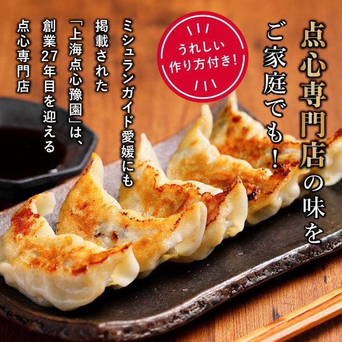 【 ミシュランガイド掲載 】 焼き餃子 定期便 ( 30個 × 3回 ) タレ・作り方付き 焼き餃子 餃子 定期便 ギョーザ 定期便 餃子 ギョーザ 定期便 点心 中華 餃子 ギョーザ 定期便 餃子 ギョーザ 点心 中華 点心 中華料理 愛媛 松山市 松山おすすめ 定期便