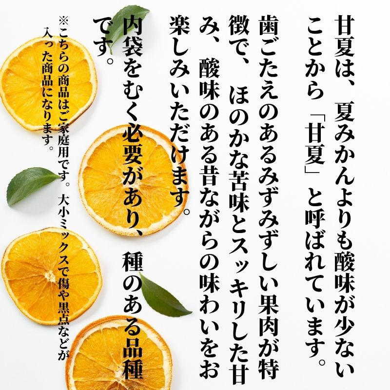 【2027年2月下旬頃から順次発送】甘夏 家庭用  約2.5kg | 愛媛 愛媛県産みかん 蜜柑 ミカン mikan みかん あまなつ  柑橘 お取り寄せ グルメ 期間限定 数量限定 酸味 果物 旬  愛媛県 松山市