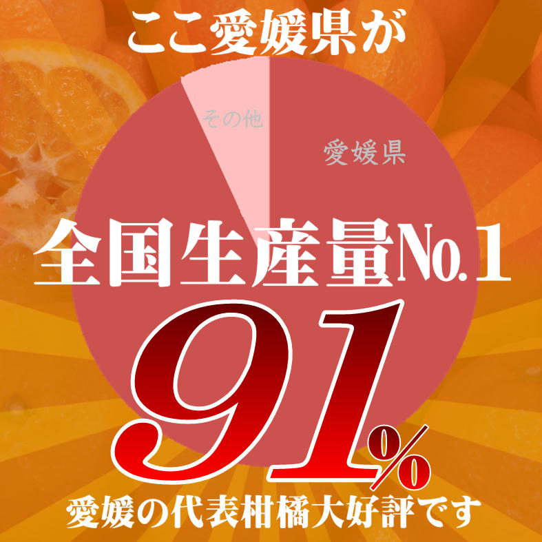 【2027年2月上旬頃から順次発送】 みきゃんいよかん 2kg｜ いよかん 伊予柑 イヨカン みきゃん 柑橘 取り寄せ 甘いみかん ギフト 愛媛県産 ミカン みかん mikan 蜜柑 フルーツ 果物 くだもの お取り寄せ 産地直送 数量限定 人気 おすすめ 送料無料 贈答 ギフト 愛媛県 松山市