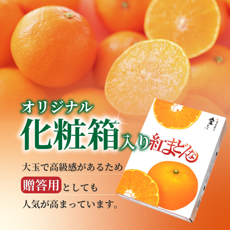 紅まどんな JAえひめ中央 正規化粧箱入 等級：青秀以上  【2025年11月から順次発送】 |  JA 紅まどんな 紅マドンナ まどんな マドンナ みかん ミカン 蜜柑 果物 くだもの フルーツ 柑橘 柑橘類 かんきつ 愛媛果試第28号 常温 国産 愛媛 愛媛県