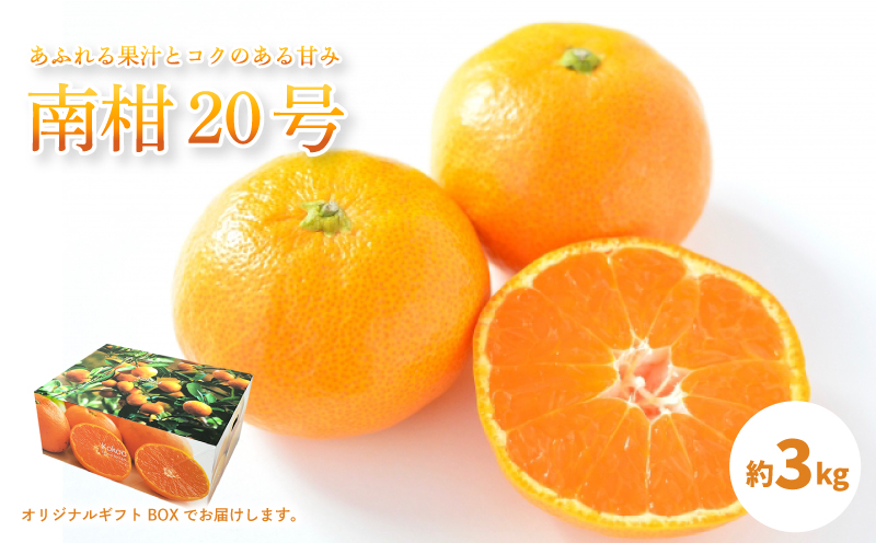 【先行予約】【 2025年12月中旬から発送予定 】 温州みかん 「 南柑20号 」＜ 秀品 ＞ 約3kg 【 ギフトBOX 入り 】