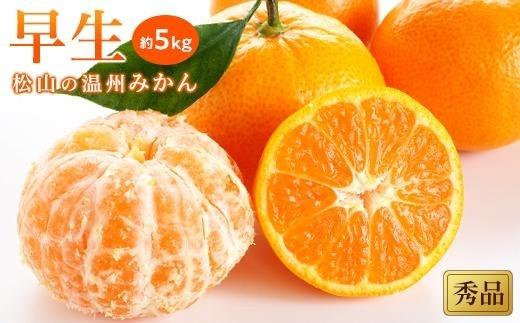 【2026年11月中旬頃から順次発送】温州みかん「早生」＜秀品＞約5kg（ 愛媛産 愛媛県産ミカン 国産 愛媛みかん 愛媛蜜柑 愛媛ミカン みかん ミカン mikan 蜜柑 柑橘 フルーツ 果物 みかん くだもの お取り寄せ 松山市産みかん 産地直送 数量限定 人気 おすすめ 愛媛県 松山市 送料無料 蜜柑 おすすめみかん ココオのみかん ）
