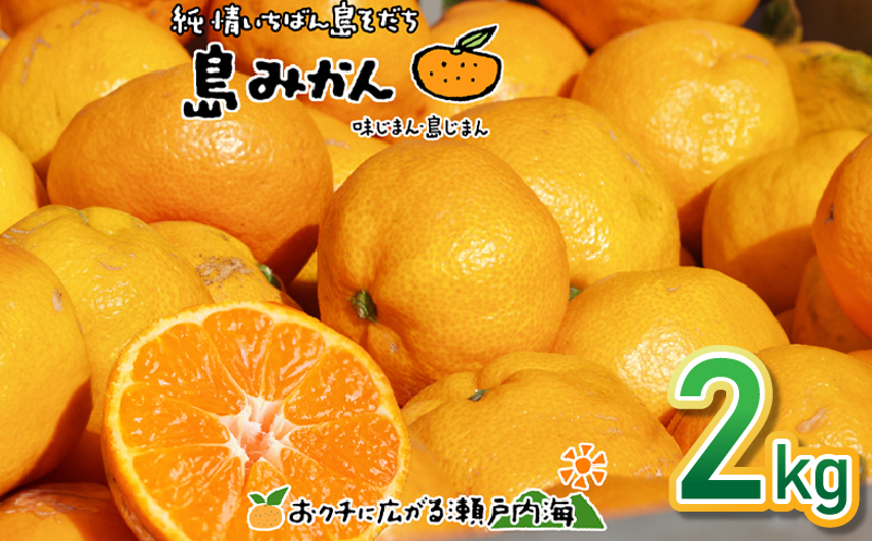 【11月下旬頃から発送予定】温州みかん 2kg 愛媛 中島産 希望の島 家庭用 みかん 柑橘