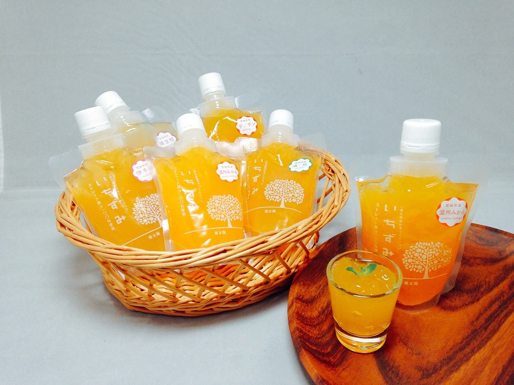 本格かんきつジュレ「いちずみ」 12個入り ( あいか･せとか入り )【化粧箱入り】約2kg (170g×12個) | ゼリー 柑橘ゼリー みかんゼリー 柑橘ジュレ みかん スイーツ 愛果 せとか 愛媛県 松山市 ココオ Koko'o