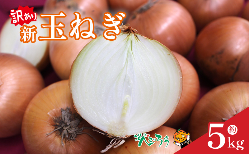 【訳あり】 新玉ねぎ 約5kg 【4月上旬頃～6月下旬頃発送予定】 | 新玉 新玉ねぎ 野菜 新玉葱 たまねぎ タマネギ 玉ねぎ 玉葱 野菜 愛媛 松山