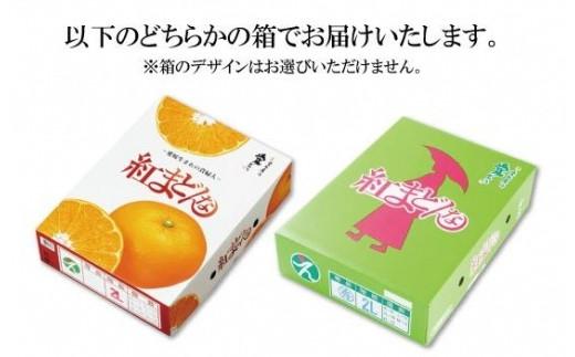 【11月下旬から発送】 紅まどんな＜JA正規化粧箱入り＞約3kg 紅まどんな みかん 贈答 ギフト プレゼント 高級 柑橘 松山 愛媛県 ベニマドンナ 愛媛県産紅まどんな フルーツ 果物 柑橘 みかん ミカン えひめ 愛媛県松山市 まどんな マドンナ 愛媛が誇るブランド柑橘 べにまどんな プレミアム柑橘 高級柑橘 こうきゅうかんきつ Ｋｏｋｏ’ｏの紅まどんな ココオのべにまどんな 果汁たっぷり