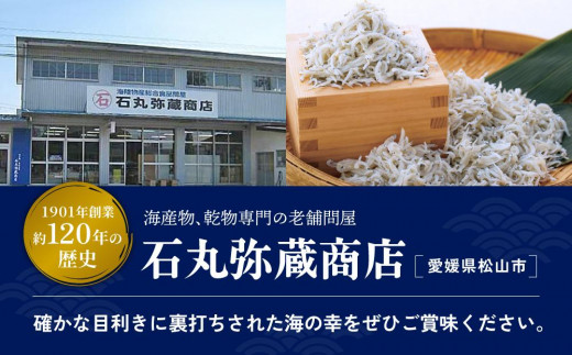 【大人気】 しらす 1kg ( 1kg × 1パック ) 冷凍 約15人前 しらす丼 丼ぶり 魚 さかな ご飯 ごはん 炒飯 チャーハン パスタ スパゲティ サラダ 卵焼き お取り寄せ グルメ 人気 おすすめ 愛媛県 松山市 しらす