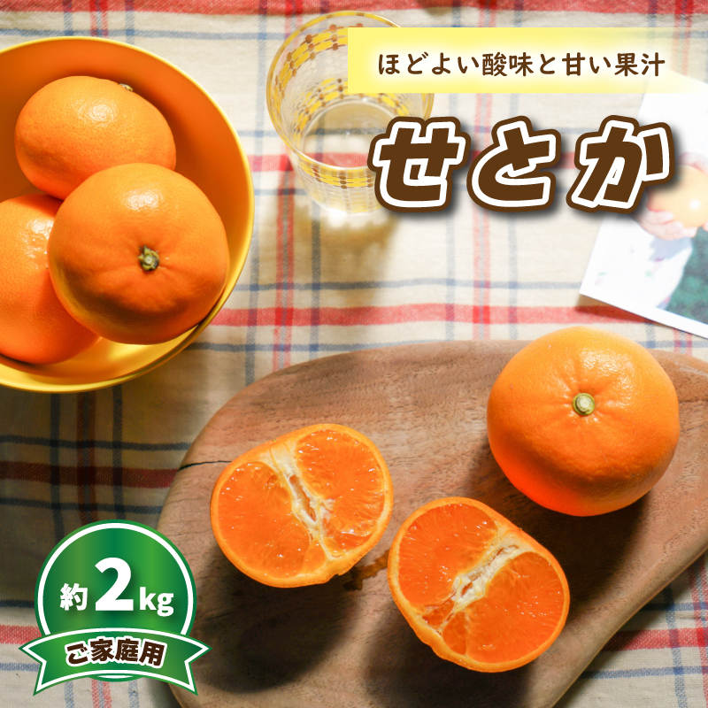 ã2027幎3æé ããé æ¬¡çºéã ããšã (å®¶åºçš) çŽ2kg | ã¿ãã ææ© ããšã èæ ã¿ãã éªå¹žå æåªç æŸå±±åž