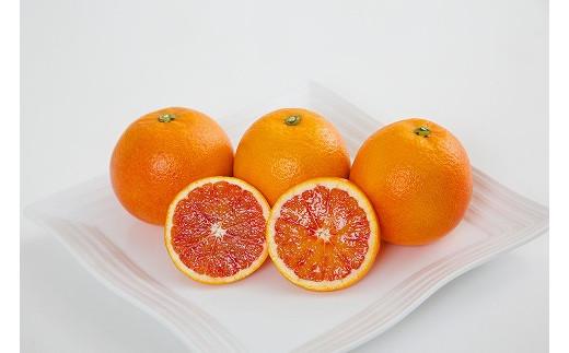 【2027年3月中旬頃から順次発送】ブラッドオレンジ 家庭用(優品) 約3kg