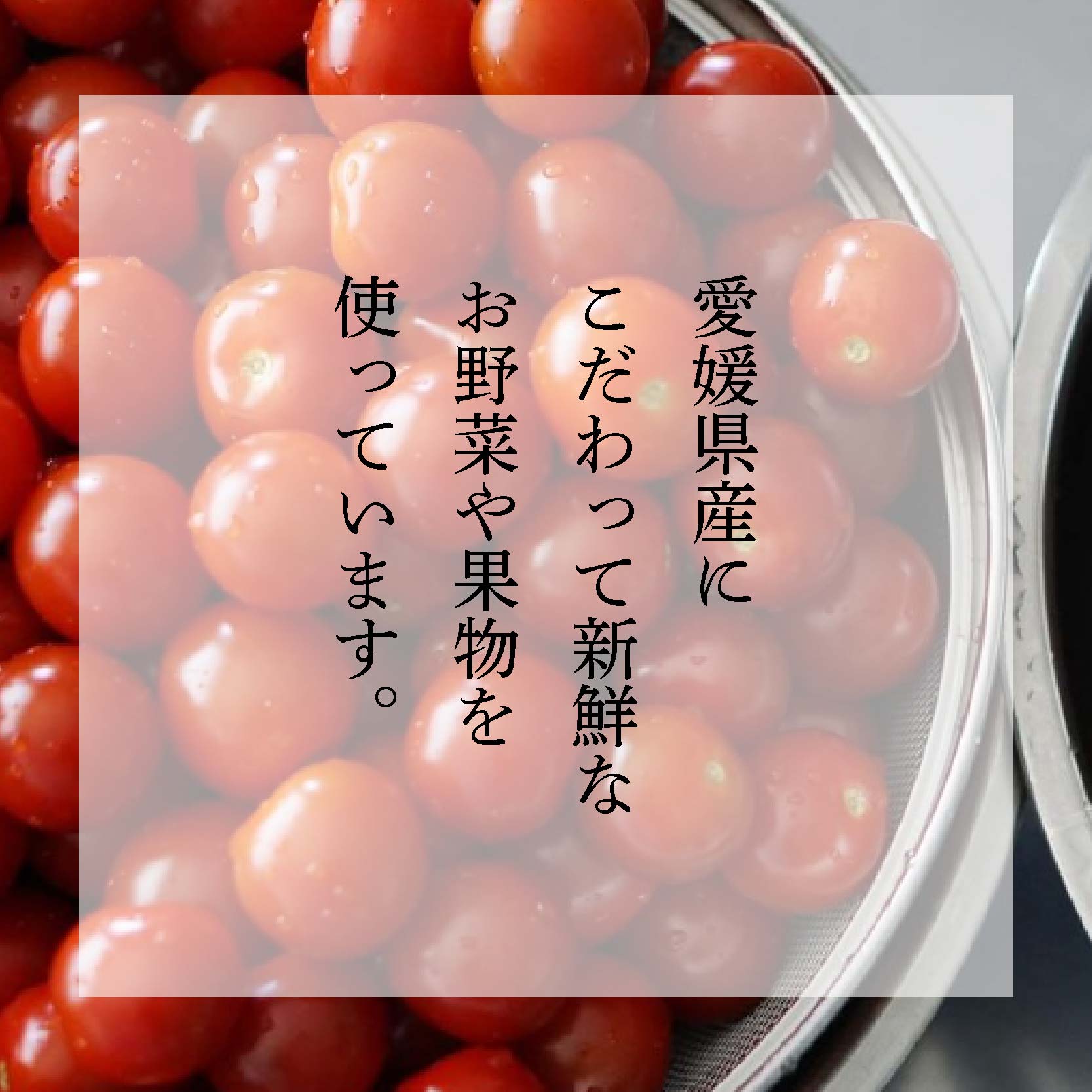 譌ャ蠖ゥ繝斐け繝ォ繧ケ 雍豐「隧ー繧∝粋繧上○ 5譛ャ繧サ繝繝 | 繝斐け繝ォ繧ケ 驥手除 譌ャ縺ョ驥手除 蟄」遽驥手除 縺エ縺上k縺 繧サ繝繝 隧ー繧∝粋繧上○ 諢帛ェ帷恁 譚セ螻ア蟶