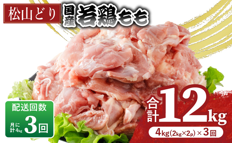 【定期便3回】松山どり もも肉 2kg×2パック×3回 計12kg  | 定期便 国産 鶏肉 小分け 若鶏 冷凍 愛媛県 松山市 株式会社ビージョイ