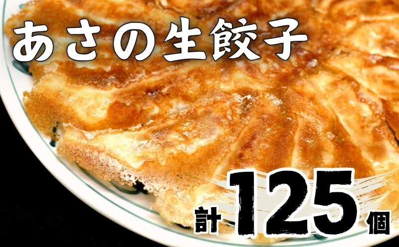 あさの生餃子 【25個入×5パック 計125個】 冷凍餃子 国産豚肉 生餃子