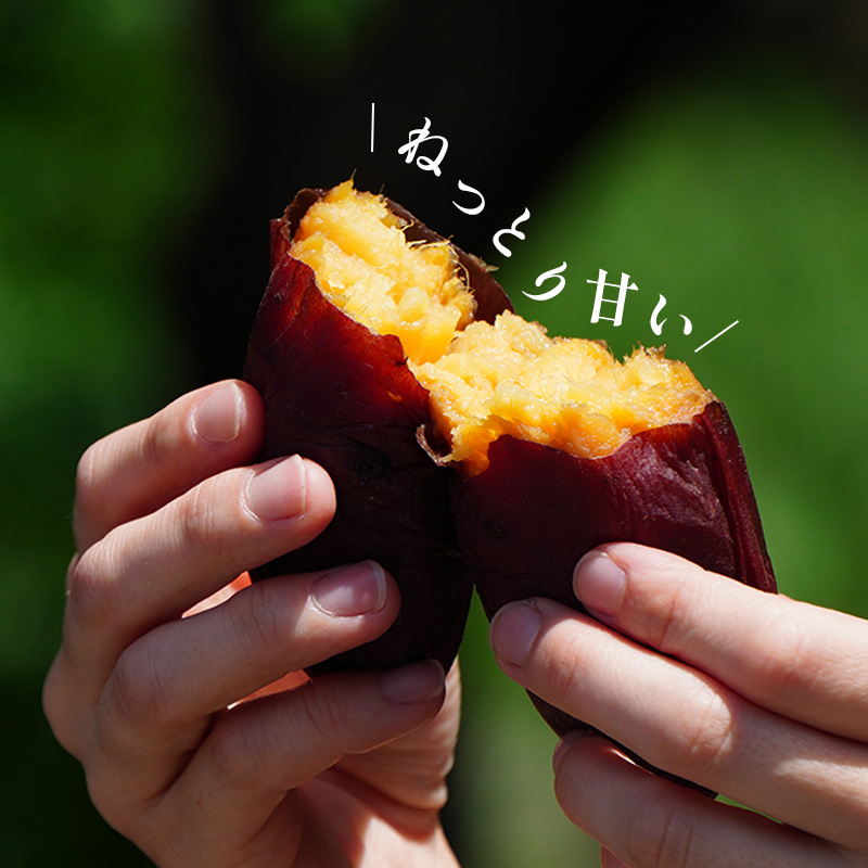 冷凍焼き芋 約1kg 人気 Viimo 美芋｜焼き芋 芋 熟成 さつまいも 紅はるか