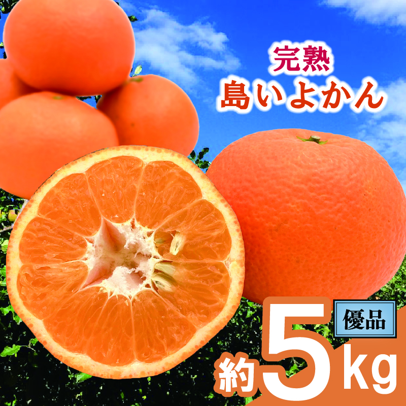 【先行予約】 完熟島いよかん 家庭用(優品) 約5kg | いよかん 伊予柑 柑橘 みかん 蜜柑 mikan 檸檬 オレンジ おれんじ かんきつ 【2026年2月上旬頃から発送予定】 愛媛県 松山市 ココオ Koko'o