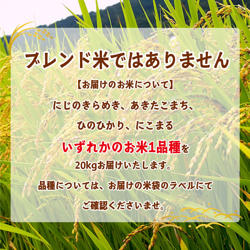 【2026年10月中旬頃から順次発送】松山ふるさと米 愛媛県産 新米 令和8年産 20kg 精米 ｜産地直送 国産 白米 ブランド米 米 お米 期間限定 数量限定 ご当地 愛媛県 松山市 にじのきらめき ひのひかり あきたこまち にこまる