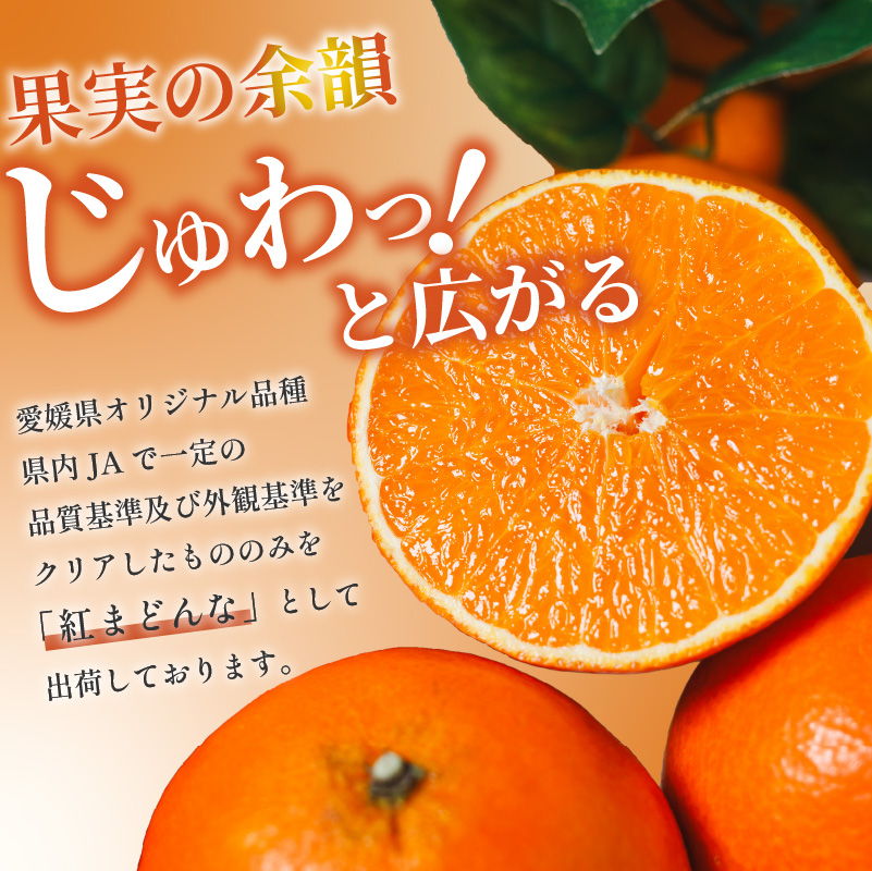 【順次発送中】数量限定 紅まどんな 1箱 中島産 化粧箱 M玉～4L玉 | 高級 紅まどんな 柑橘 フルーツ 個包装 紅マドンナ 果物 おすすめ柑橘紅まどんな 高級柑橘の紅まどんな くだもの 人気 おすすめ 贈答 ギフト 紅まどんな 愛媛県 松山市
