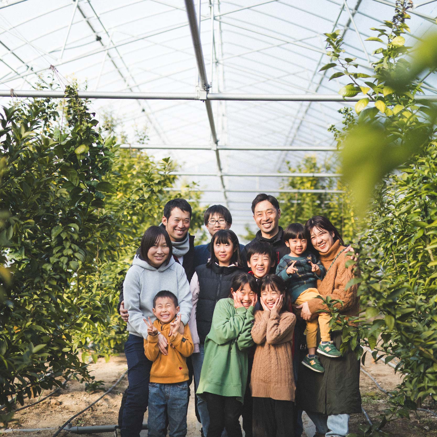 愛媛県産 米20kg 精米 ｜産地直送 国産 白米 ブランド米 期間限定 数量限定 ご当地 愛媛県 松山市