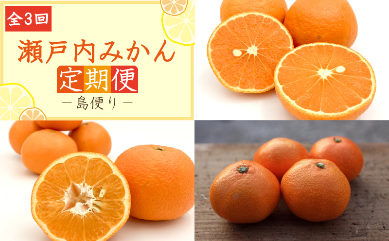 愛媛みかん 定期便【全3回】瀬戸内みかん 島便り | 石地みかん 完熟島いよかん カラマンダリン 温州みかん セット ていきびん 定期便 柑橘 みかん 蜜柑 mikan 檸檬 オレンジ おれんじ かんきつ 果物 フルーツ 愛媛県 松山市 ココオ Koko'o