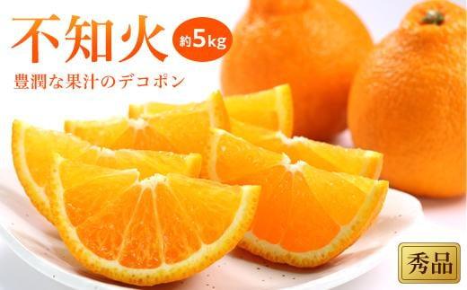 【先行予約】【2026年2月上旬から発送】 不知火(しらぬい)＜秀品＞約5kg