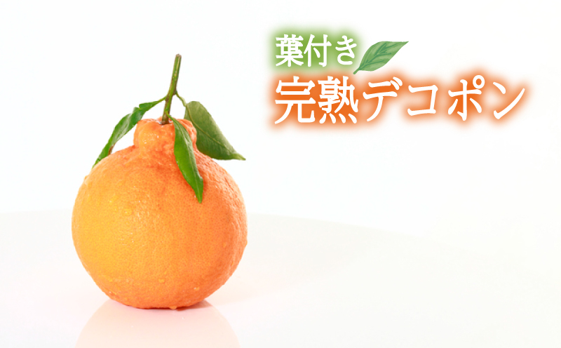 【2026年3月中旬頃から順次発送】〈JAえひめ中央〉葉つき完熟デコポン 約5Kg L20玉 | デコポン 不知火 みかん ミカン 蜜柑 果物 くだもの フルーツ 高級 贈答 ギフト 贈り物 柑橘 柑橘類 かんきつ  常温 国産 愛媛  愛媛県 松山市 伊予鉄高島屋