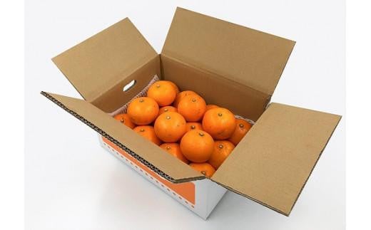 【2月中旬から発送】 ＜訳あり＞ せとか 約3kg 愛媛産 愛媛県産せとか 国産 愛媛みかん 愛媛蜜柑 愛媛せとか みかん せとか せとか ふるさと納税せとか くだもの お取り寄せせとか 産地直送 訳ありせとか 数量限定せとか 人気 おすすめ 愛媛県 松山市 せとか3kg 送料無料 家庭用せとか 訳ありせとか 愛媛県産せとか おすすめのせとか みかん 柑橘 訳あり品 家庭用 お取り寄せ せとか