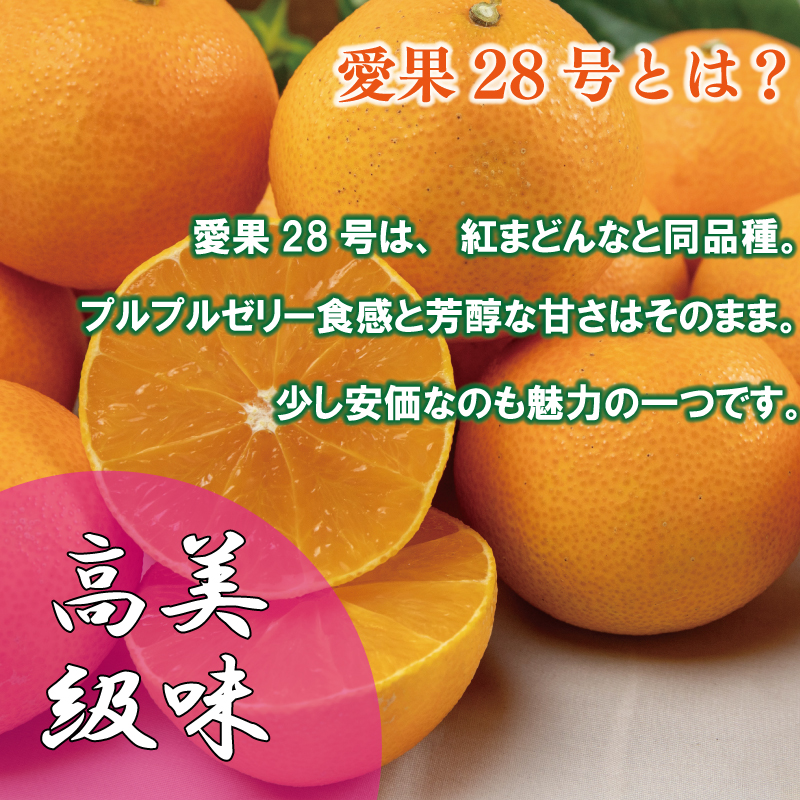 【順次発送中】 愛果28号 (紅まどんな と同品種) 約2kg あいか みかん 柑橘