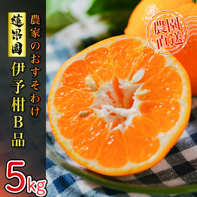 【先行予約】 【2026年1月から発送予定】 家庭用 宮内伊予柑 5kg サイズ混合 （ 訳あり 柑橘 みかん 果物 くだもの フルーツ おすすめ 人気 お取り寄せ グルメ ギフト 期間限定 数量限定 ご当地 愛媛県 松山市 ）