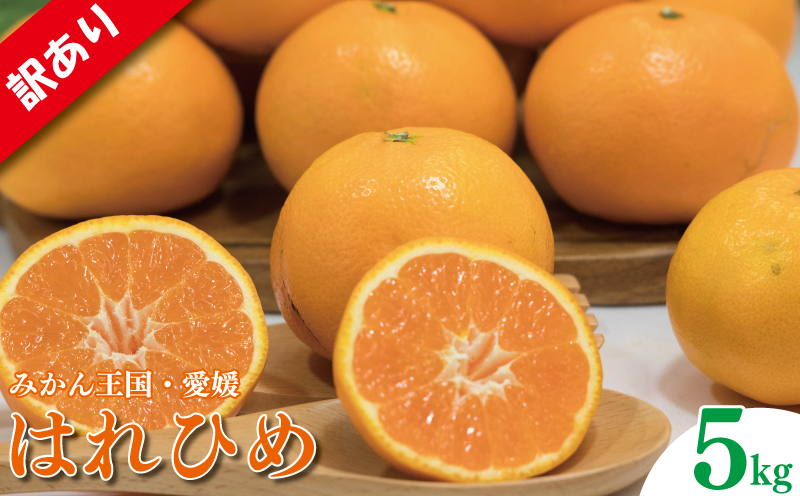 訳あり 家庭用 はれひめ S~3L玉 約5㎏ | わけあり ワケアリ みかん ハレヒメ 柑橘 フルーツ 果物 愛媛県 松山市