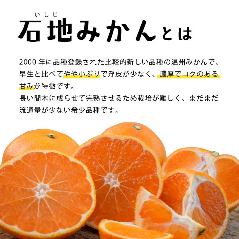 ãå
è¡äºçŽã ç¬æžå
æµ·ã®å³¶ã¿ãã å®¶åºçš(åªå)ãç³å°ã¿ãããçŽ5kg | ææ© ã¿ãã 坿 ãªã¬ã³ãž ãã«ãŒã æç© æåªç æŸå±±åž ã³ã³ãª Koko'o