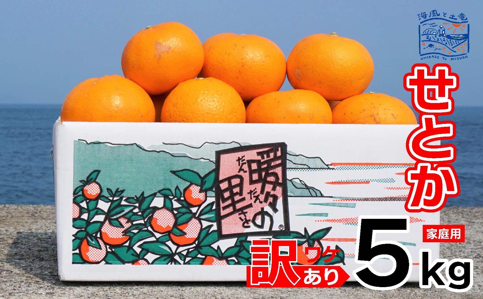 訳あり せとか 家庭用 5kg ｜産地直送 国産 柑橘 期間限定 数量限定 ご当地 愛媛県 松山市