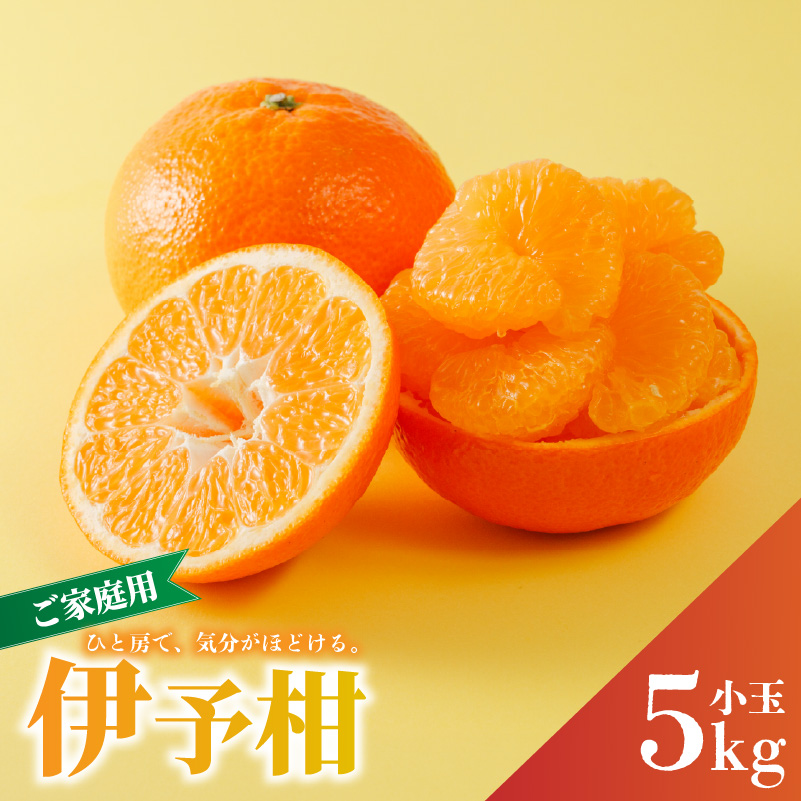宮内伊予柑 家庭用 小玉 5kg 【2027年2月上旬から発送予定】 | 柑橘 みかん 果物 くだもの フルーツ おすすめ 人気 お取り寄せ グルメ ギフト 期間限定 数量限定 ご当地 愛媛県 松山市