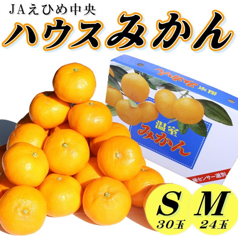 【順次発送中！】ハウスみかん 愛媛 秀品 おすすめ 人気 ギフト みかん JA 愛媛県 松山市 柑橘 くだもの はうすみかん秀品ハウスみかん ミカン果汁 デザート 愛媛みかん 柑橘類 カンキツ かんきつ 蜜柑 蜜橘 樒柑 松山のハウスみかん 愛媛のみかん 甘いハウスみかん フルーツ 果物 温州みかん 極早生種 早生種 温州ミカン 果肉 果汁 ハウスみかん果汁 美味しいみかん