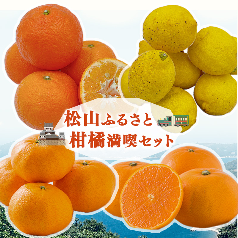 【1月下旬から発送】 【松山市ふるさとセット】 伊予柑 甘平 せとか レモン 柑橘満喫セット（ 愛媛みかん 愛媛ミカン みかん ミカン mikan 蜜柑 フルーツ 果物 くだもの お取り寄せ 産地直送 数量限定 人気 おすすめ 愛媛 松山 フジ・アグリフーズ）【FA096】