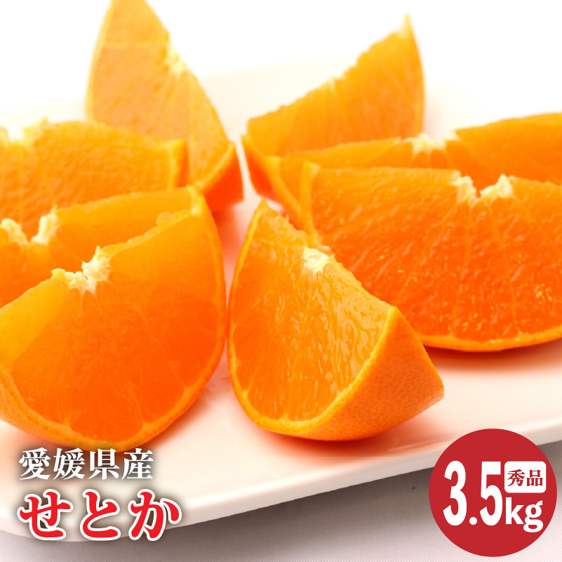 【2026年2月上旬より発送】愛媛県産 せとか 秀品 約3.5kg | せとか みかん 高級 ギフト 贈り物 蜜柑 柑橘 数量限定 愛媛県 松山市