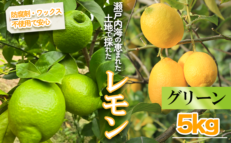 とれたてグリーンレモン 約5kg ｜果物 くだもの フルーツ レモン れもん 檸檬 柑橘 防腐剤不使用 ワックス不使用 グリーンレモン ぐりーんれもん 国産 愛媛県産 国産レモン 