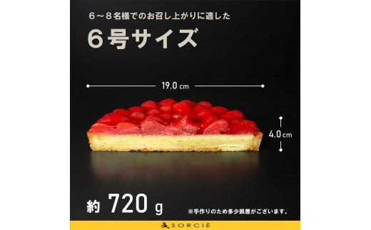 【着日指定可】苺のコンポート タルトケーキ 6号 6人〜8人分 直径19cm 約720g | デザート ケーキ お菓子 洋菓子 冷凍 着日指定 お誕生日 誕生日 ギフト お祝い 愛媛県 松山市