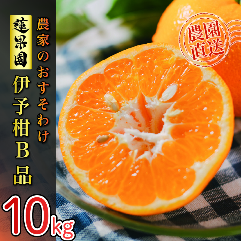 [2026年1月から発送予定] 宮内伊予柑 10kg サイズ混合 愛みかん いよかん柑橘 くだもの フルーツ 愛みかん 愛媛みかん ミカン フルーツ 果物 みかん 柑橘 甘いみかん