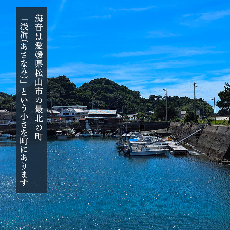 愛媛一棟貸し 風早邸海音 宿泊補助券 3万円分 | 30000円分