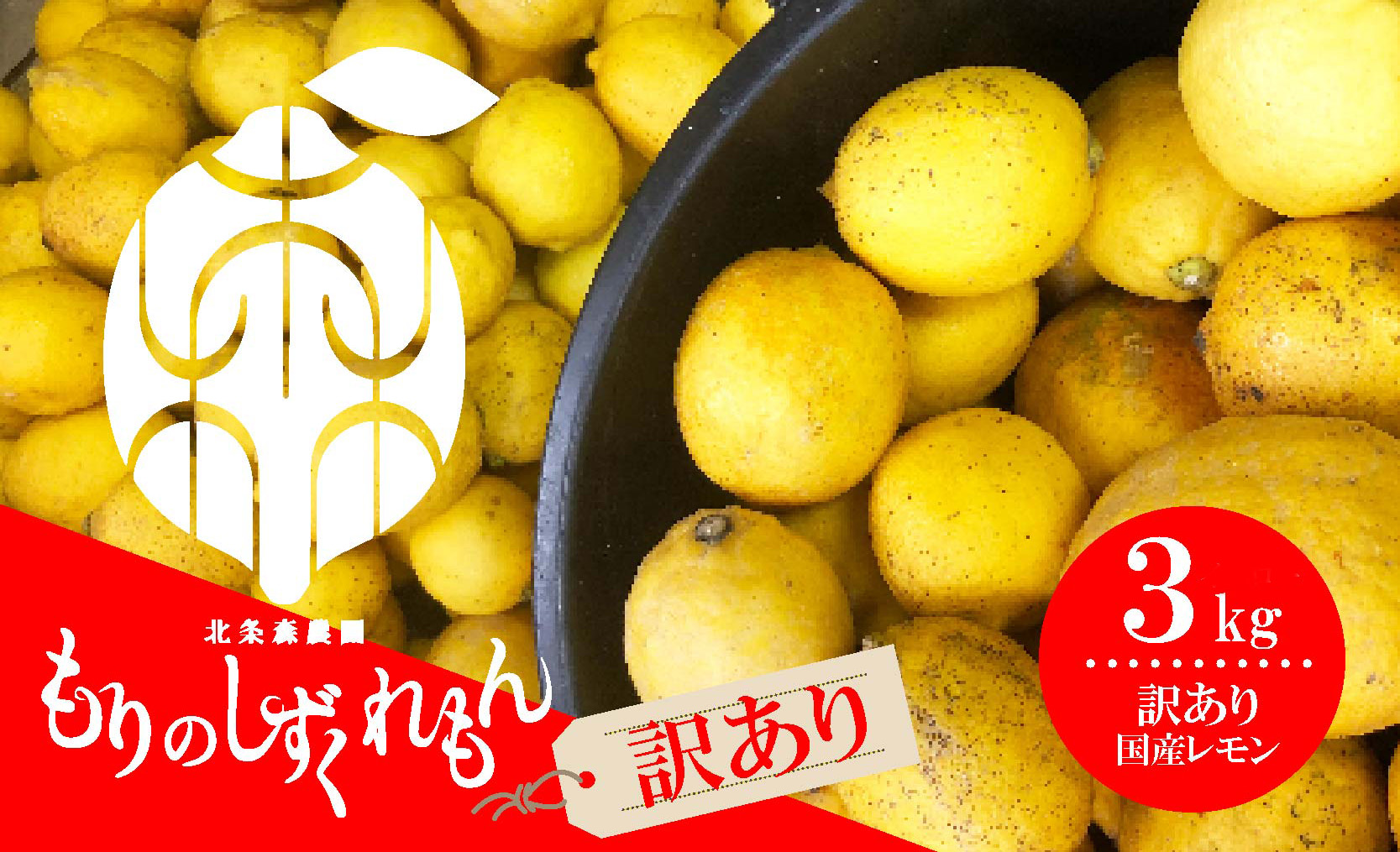 [2027年1月頃から順次発送][訳あり] 数量限定 もりのしずくれもん 3kg 国産 レモン 先行予約 檸檬 レモン果汁 酸味 果物 ビタミン 健康 フルーツ 柑橘 農家直送 産地直送 数量限定 国産 愛媛 松山 レモン レモンサワー ジュース チューハイ 果物 くだもの 果実 国産 フルーツ 有名 愛媛 みかん 愛媛県産 瀬戸内 ビタミン レモン れもん デザート スイーツ 人気 おすすめ