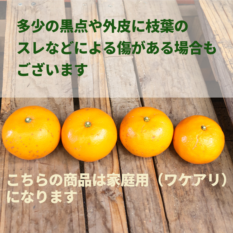 【5月から発送】 春 みかん カラマンダリン 家庭用 5kg｜みかん 蜜柑 旬 わけあり 訳あり 甘い 柑橘 果物 フルーツ 糖度 愛媛 松山