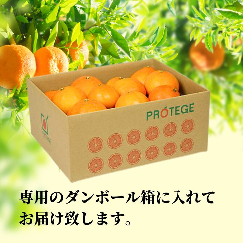 【2027年2月下旬頃から順次発送】愛果48号　家庭用 約5kg  | 愛媛 愛媛県産みかん 蜜柑 ミカン mikan みかん あいか  柑橘 お取り寄せ グルメ 期間限定 数量限定 あまい甘い 果物 旬  美味しい  愛媛県 松山市