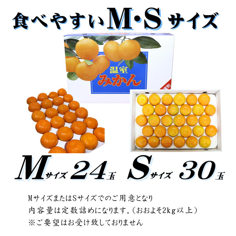 【2026年7月中旬頃から順次発送】ハウスみかん 愛媛 秀品 おすすめ 人気 ギフト みかん JA 愛媛県 松山市 柑橘 くだもの ハウスみかん ミカン果汁 デザート 愛媛みかん 柑橘類 カンキツ かんきつ 蜜柑 蜜橘 樒柑 松山のハウスみかん 愛媛のみかん 甘いハウスみかん フルーツ 果物 温州みかん 極早生種 早生種 温州ミカン 果肉 果汁 ハウスみかん果汁 