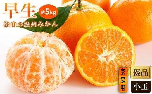 【2026年11月中旬頃から順次発送】温州みかん「早生」 <家庭用(優品)・小玉> 約5kg （ 愛媛産 愛媛県産 国産 愛媛みかん 愛媛蜜柑 愛媛ミカン みかん ミカン mikan 蜜柑 柑橘 フルーツ 果物 くだもの お取り寄せ 産地直送 数量限定 人気 おすすめ 愛媛県 松山市 送料無料 ）