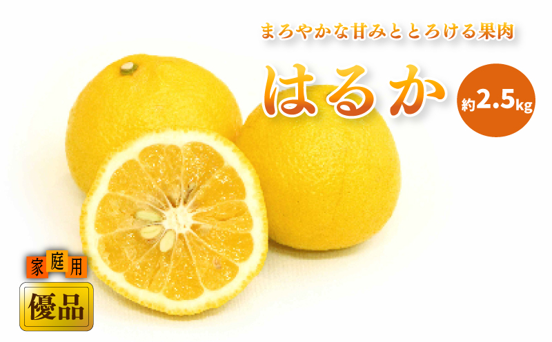 【2027年2月中旬頃から順次発送】はるか 家庭用(優品) 約2.5kg