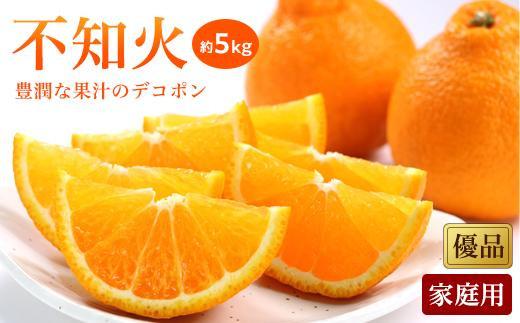 【先行予約】【2026年2月上旬から発送】 不知火(しらぬい)＜家庭用・優品＞約5kg