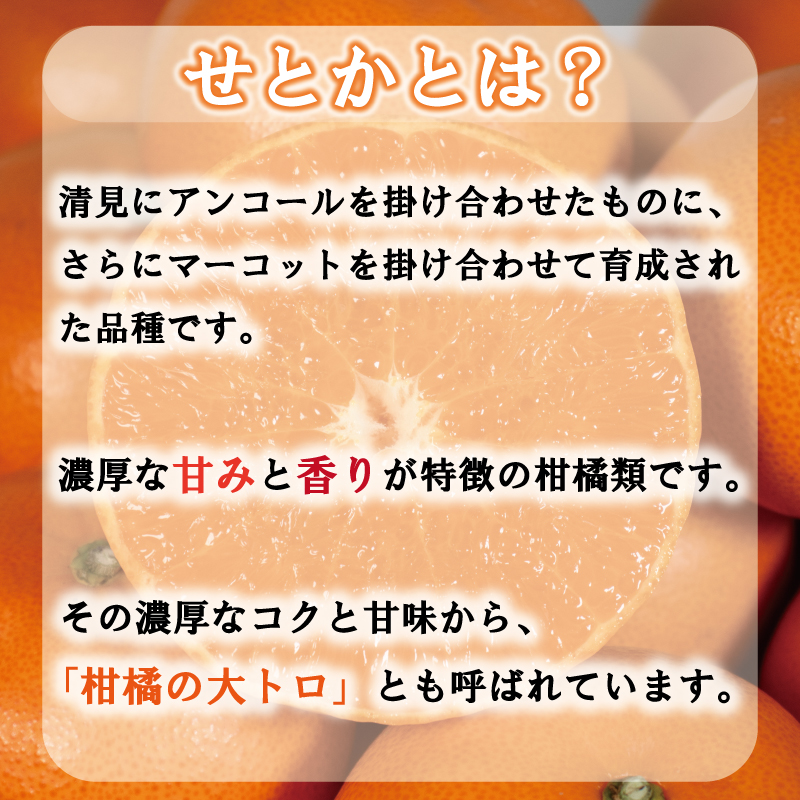 せとか 5kg 優品以上 みかん ミカン mikan 柑橘 フルーツ 果物 愛媛県 松山市