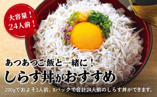 【大人気】 しらす 1kg ( 1kg × 1パック ) 冷凍 約15人前 しらす丼 丼ぶり 魚 さかな ご飯 ごはん 炒飯 チャーハン パスタ スパゲティ サラダ 卵焼き お取り寄せ グルメ 人気 おすすめ 愛媛県 松山市 しらす