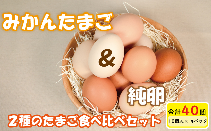 2種のたまご食べ比べセット 計40個(10個×4パック) ※割れ保証5個含む