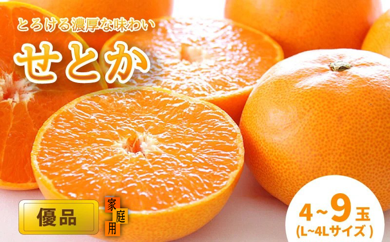 【2月中旬から発送】 せとか 家庭用(優品)（L～4L / 4～9玉）| みかん せとか 優品 柑橘 愛媛県 松山市 松山市産せとか 柑橘の大トロ「せとか」 柑橘 みかん ミカン せとか 優品せとか ふるさと納税せとか